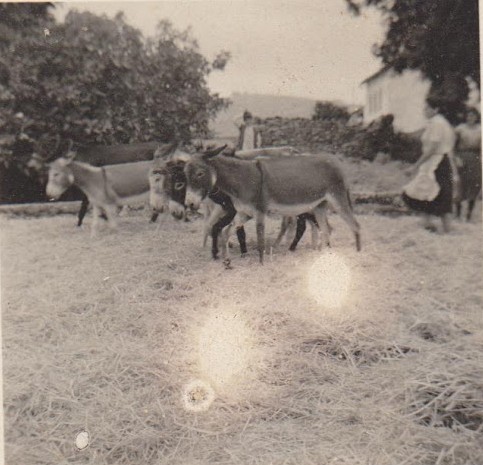 4Debulha Foto 6 x 6 de Francisco Furrial