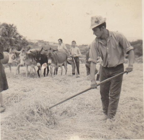 5Debulha Foto 6 x 6 de Francisco Furrial