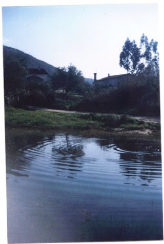 Lagoa 1991