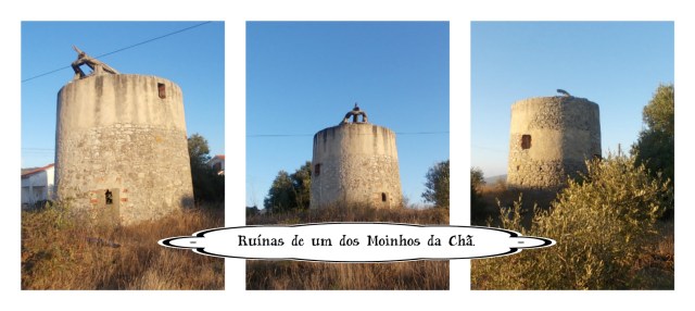 MOINHO DA CHA