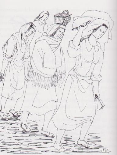 escolhedoras de carvão