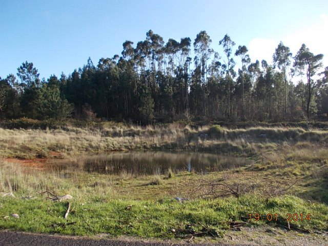 Lagoa do Chão Nogueira