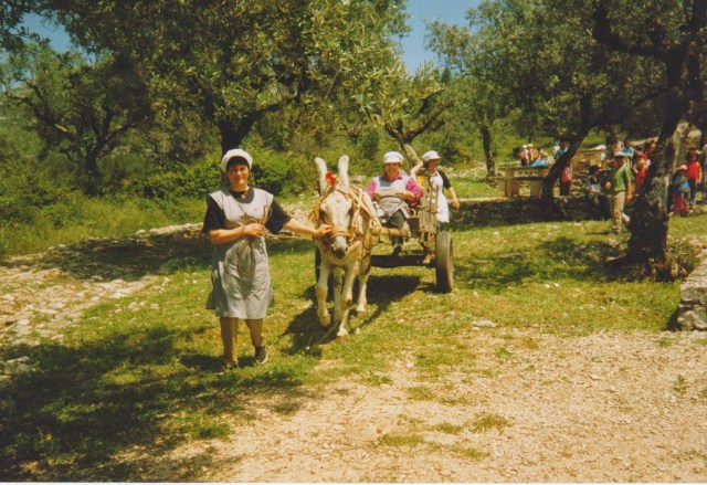 Dia Mundial da Criança 2000-1