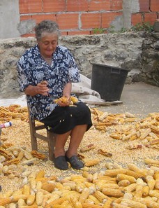 Laura Vieira Amado filha de MARIA DAS DORES AMADO