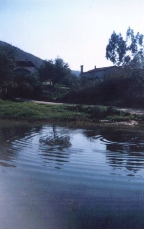 Lagoa de Santa Catarina em 1991. Actualmente ainda é possível ver esta lagoa, no inverno quando chove muito. Diz-se que foi nas imediações da Lagoa de Santa Catarina que apareceram as primeiras casas do Alqueidão.