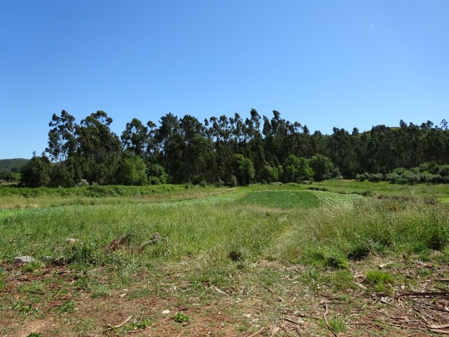 Curral das Vacas (3)