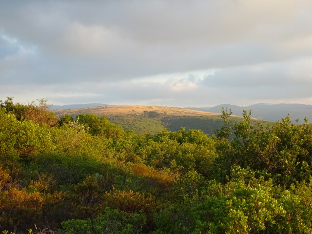 Serra Galega, carrascos