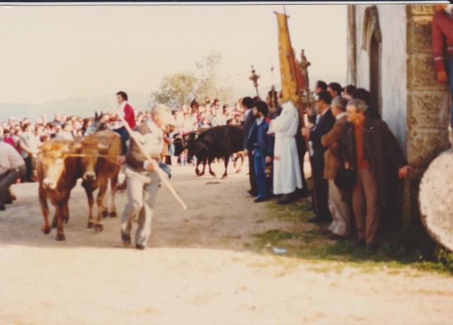Benção dos Animais na Capela da Tojeirinha